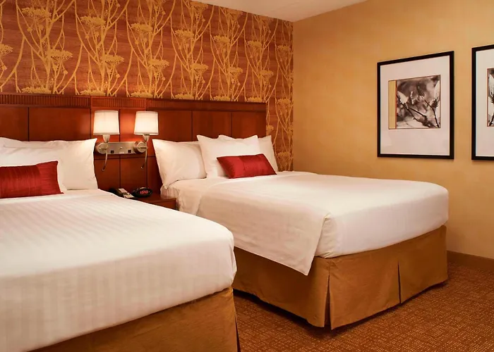 Hotel Courtyard Chicago Arlington Heights/south 3*