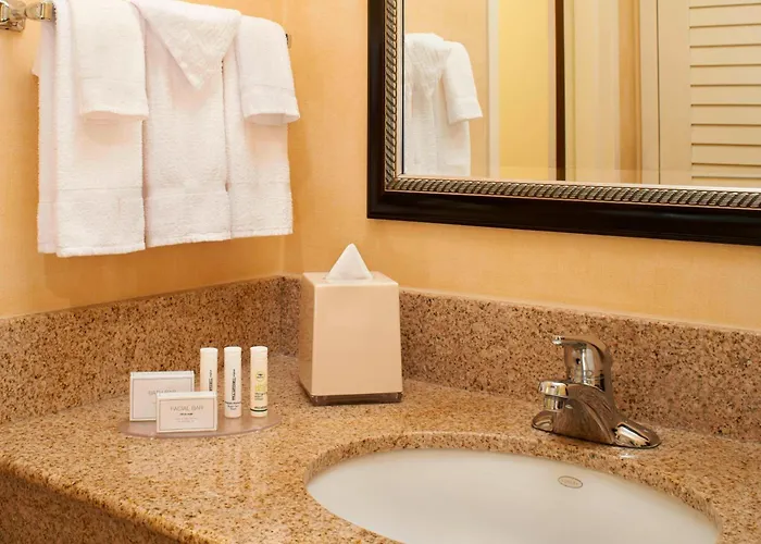Courtyard Chicago Arlington Heights/south Hotel 3*