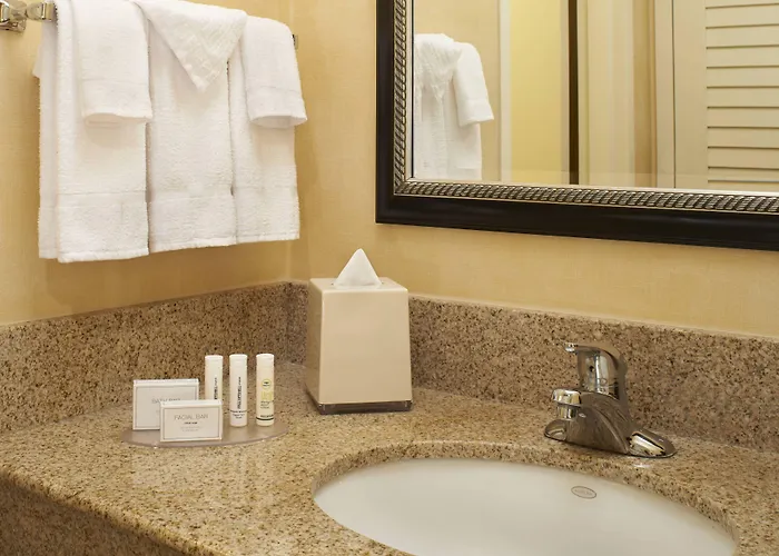Courtyard Chicago Arlington Heights/south Hotel 3*
